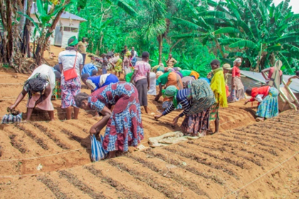 Field practice with farmers in regenerative agriculture.