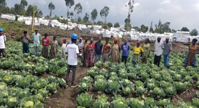 Support to market gardening and vegetable field management.