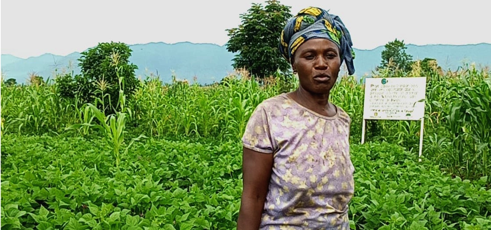 Agroecology in action