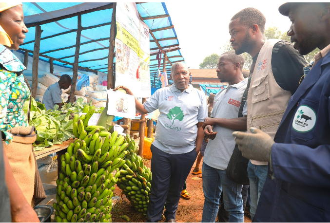 PELUM document visual